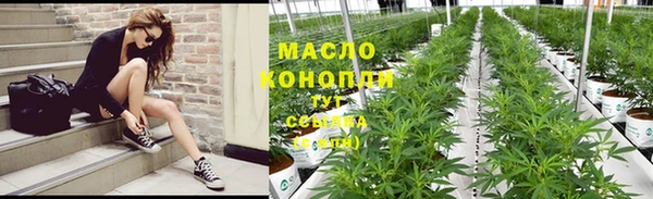 эйфоретик Бородино